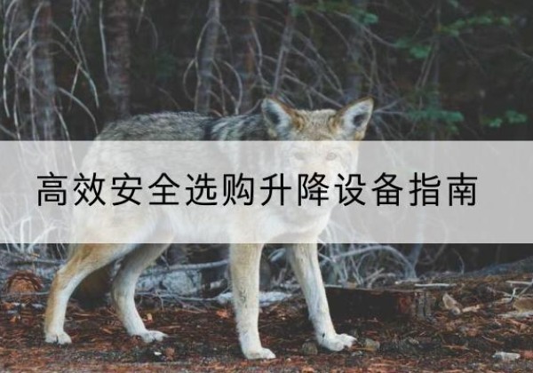 枣庄升降货梯厂家推荐-*安全选购升降设备指南