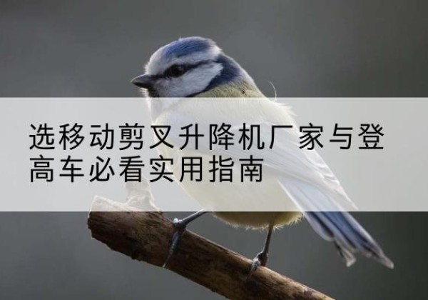 枣庄电动升降机厂家-选移动剪叉升降机厂家与登高车必看实用指南