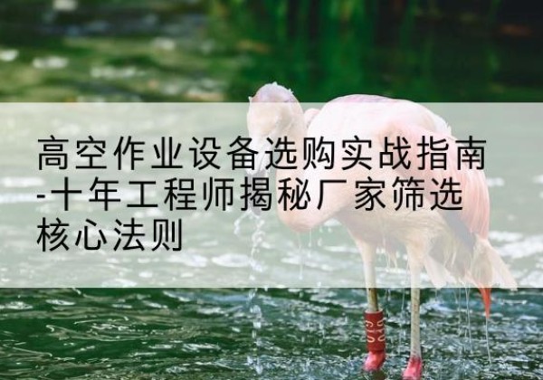 枣庄剪叉式升降机厂家-高空作业设备选购实战指南-十年工程师揭秘厂家筛选核心法则